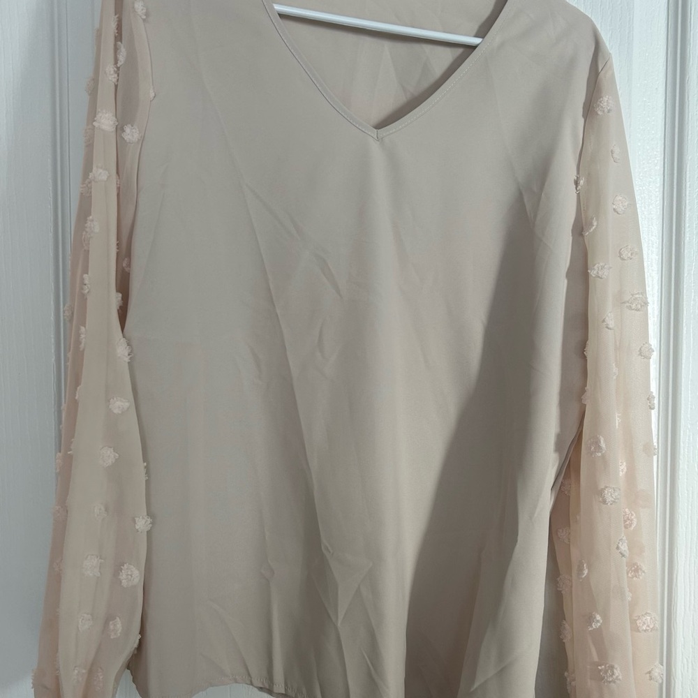 Cream Blouse with Long Sheer Pink Sleeves